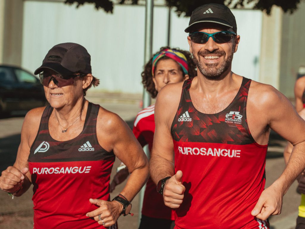 Purosangue running